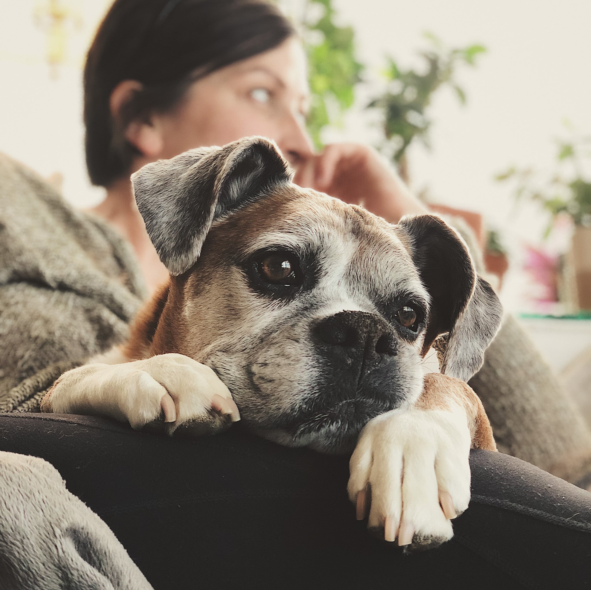 Seasonal Slow Living Rituals: Fall